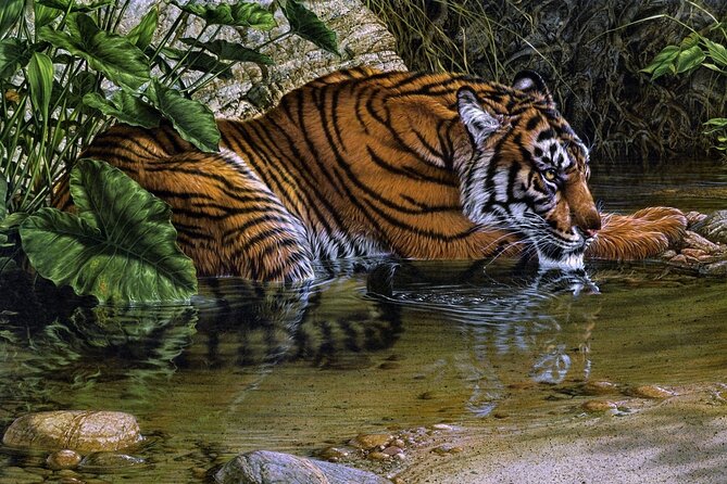 03 Days Private Wildlife Ranthambore Tiger Tour from Jaipur - Safari reality check: how to think about seeing tigers