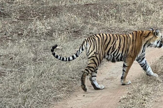 08 Days Golden Triangle Tour with Ranthambore and Jhalana Safari - Agra at two speeds: daytime monuments and sunset views