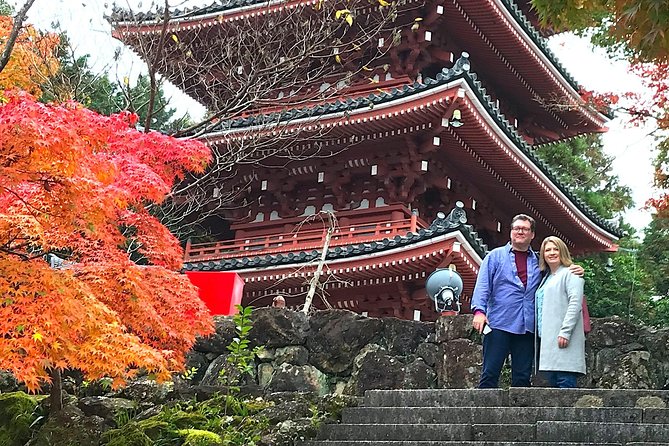 1-Day Kochi Highlights Tour with local guide - Kochi Castle: the city symbol with steps and payoff views
