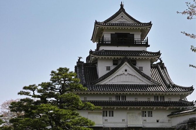 1-Day Kochi Highlights Tour with local guide - Your guide makes or breaks the day