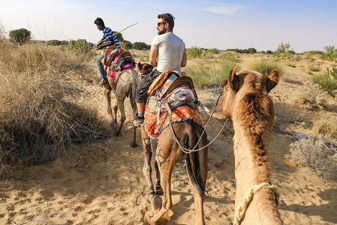 1-Night and 2-Days Thar Desert Safari Tour - Getting there: the 7:30 am jeep ride and camp setup
