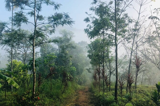 12 Hours Private Munnar Tour from Kochi - Valara Waterfalls: Another Set of Falls, Another Pace