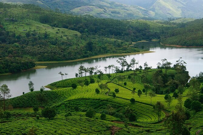 12 Hours Private Munnar Tour from Kochi - Banana-Leaf Vegetarian Meal: Lunch That Fits the Day