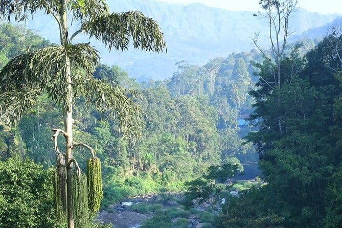 12 Hours Private Munnar Tour from Kochi - Munnar Market Time and Spice-Farm Learning