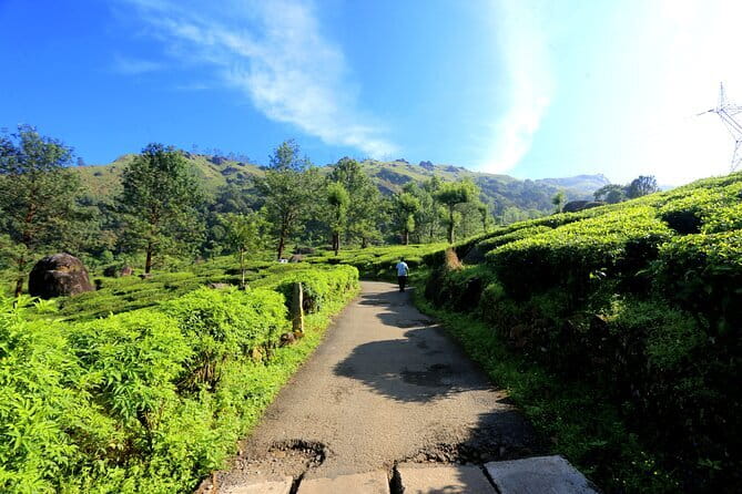 12 Hours Private Munnar Tour from Kochi - Cheeyappara Waterfalls: A Quick Reset in the Hills