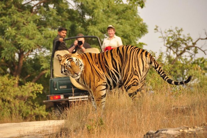 2-Day Ranthambore National Park Tour From Jaipur - Key details to know before you go