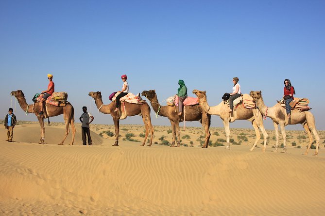 2 Days and 1 Night Camel Safari - Key highlights to know before you go