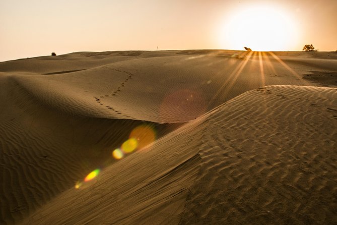 2 Days and 1 Night Camel Safari - Jaisalmer timing and where the safari really starts