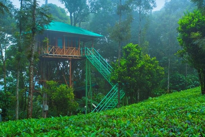 2 Nights Munnar Treehouse Escape with Private Car- Iris Holidays - Eravikulam National Park: your best shot at iconic wildlife scenery