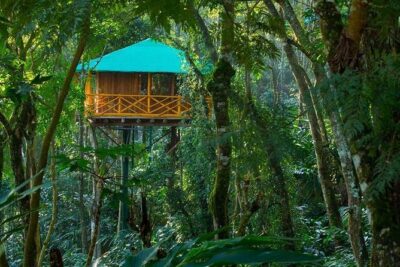 2 Nights Munnar Treehouse Escape with Private Car- Iris Holidays
