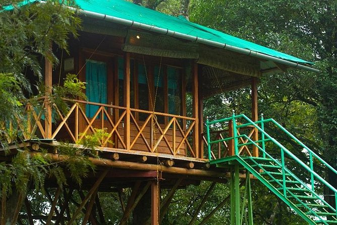 2 Nights Munnar Treehouse Escape with Private Car- Iris Holidays - Kannan Devan Tea Museum: understanding what you are actually seeing