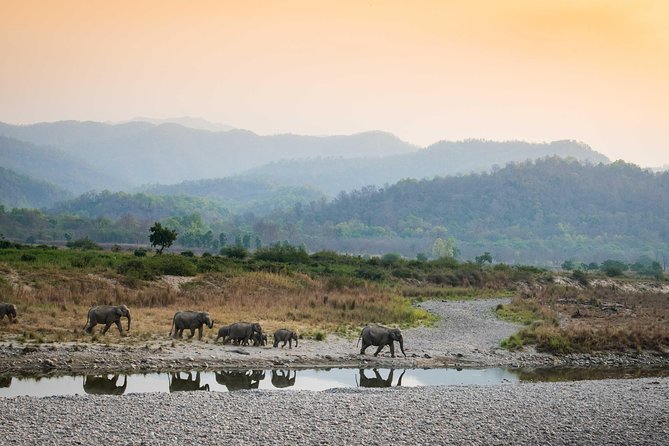 2N Jim Corbett National Park (Dhikala Zone) - Key things to know before you go