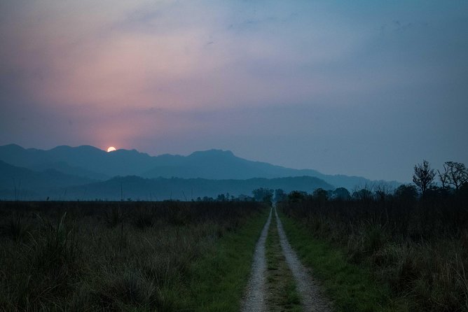 2N Jim Corbett National Park (Dhikala Zone) - Your 3 days in Corbett, explained like a friend would