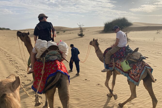 3 Days Tour in Wild Desert Safari - Key Highlights You’ll Actually Feel