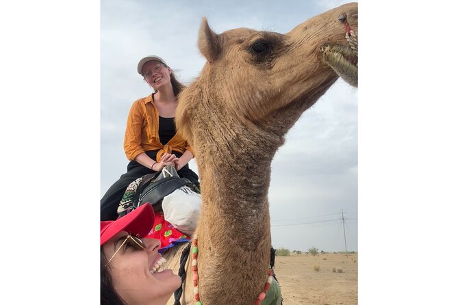 3 Days Tour in Wild Desert Safari - Day 2’s Choose-Your-Adventure: Camel Trek, Jeep Safari, Monuments