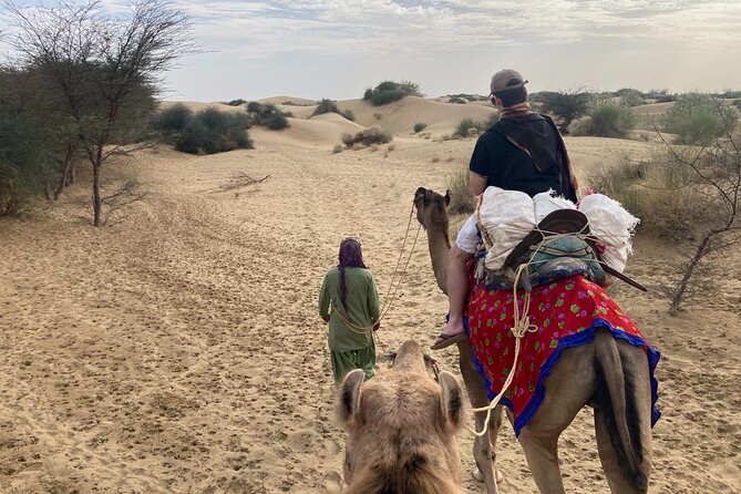3 Days Tour in Wild Desert Safari - Day 3 Sunrise Camel Ride and Return by Late Morning