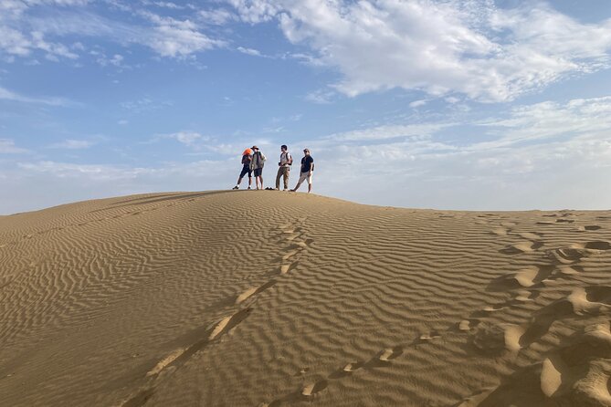 3 Days Tour in Wild Desert Safari - Price and Logistics: Is $99 a Smart Deal?
