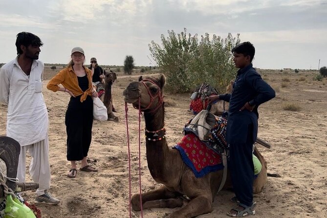 3 Days Tour in Wild Desert Safari - Sunset Camel Time and Open-Sky Night Under the Thar Stars