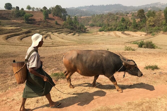 3Days Less Touristic Way Trekking from Kalaw To Inle - A less-touristic Kalaw to Inle route that still feels well-run