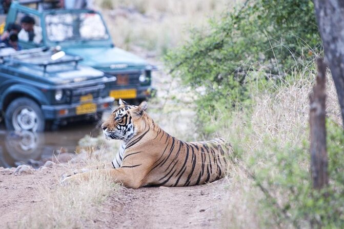 4 Day Golden Triangle with Ranthambore Tiger Safari Tour from Delhi - Key things I’d pin on your map