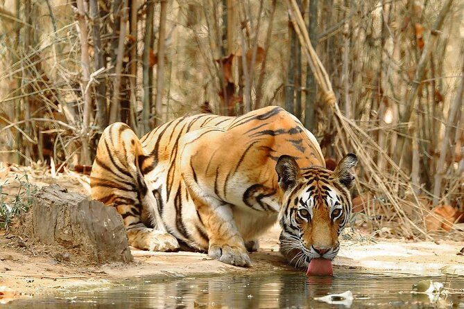 4-Day Private Delhi, Agra & Jaipur with Ranthambore Tiger Safari - Day 1 in Delhi: Qutub Minar to Humayun’s Tomb, With Chandni Chowk Lunch