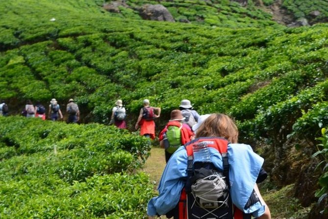 4 Days Best of Kerala Tour with Private Houseboat, Sightseeing & Car - Price and value: Is $192 per person a good deal for this route?