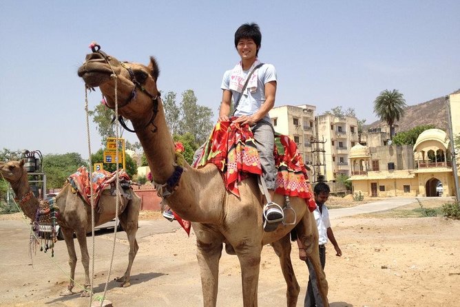 4 Days Golden Triangle Tour India From Delhi - A 4-Day Golden Triangle Loop: What You Actually Get for $190
