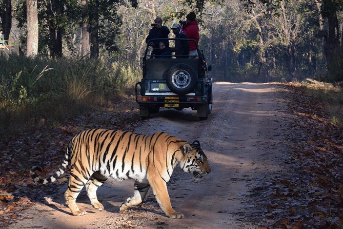 4 Days Golden Triangle Tour with Ranthambore from Delhi - The Big Picture: Heritage Meets Tiger Country in 4 Days