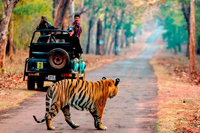 4 Days Golden Triangle Tour with Ranthambore from Delhi - Day 2 Sunrise Taj Mahal: Why the 6:00 am Start Can Be Worth It