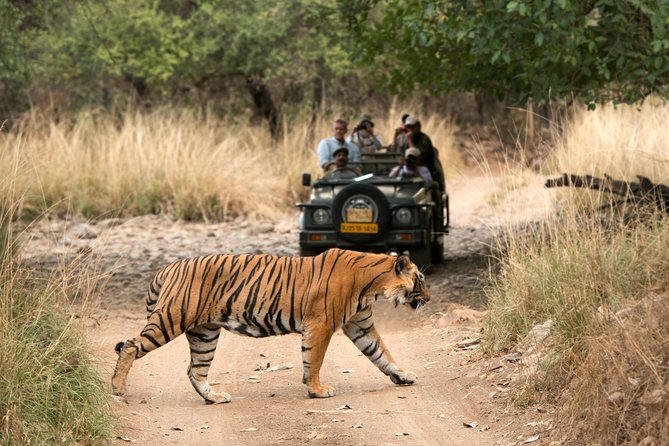4 Days Golden Triangle Tour with Ranthambore from Delhi - Day 1 in Delhi: Qutub Minar and UNESCO Sites With a Guided City Tour