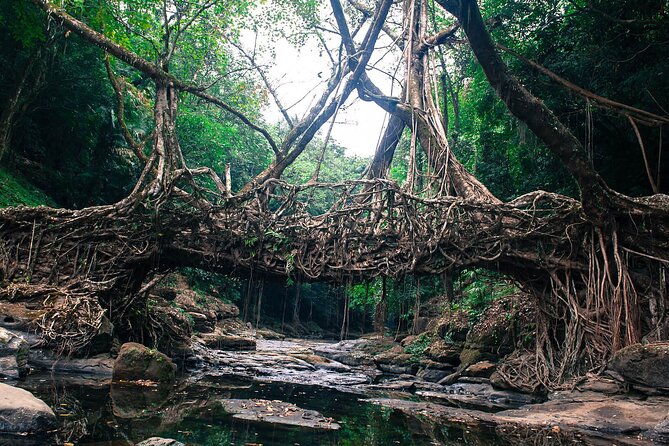 5-Day Private Tour in Meghalaya with Meals and Accommodation - Nohkalikai to Nongriat, then the Double Decker living root bridge and bonfire
