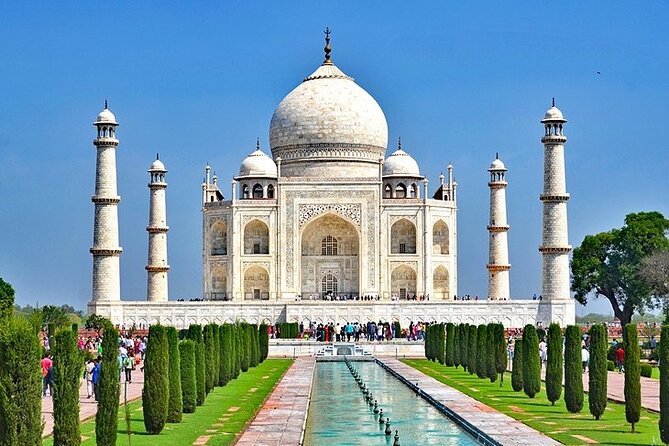 5 Day Private Tour of Tigers, Taj Mahal and Palaces from Cochin - Safari Day in Ranthambore: Two Chances, Shared Vehicles, Naturalist Help