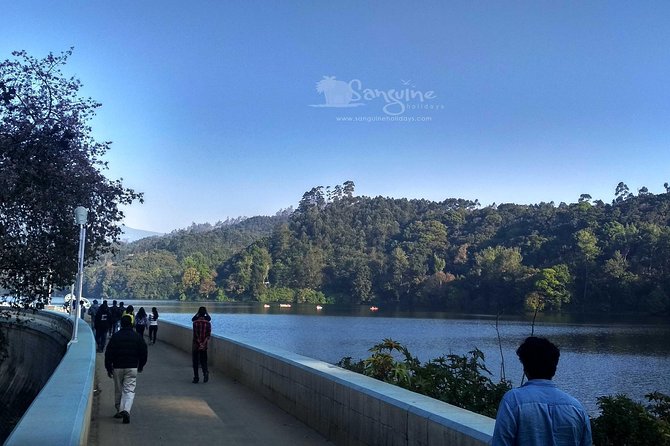 5 Days Budget Kerala Tour Packages by Sanguine Holidays - The driver factor: smooth planning, but quality can vary