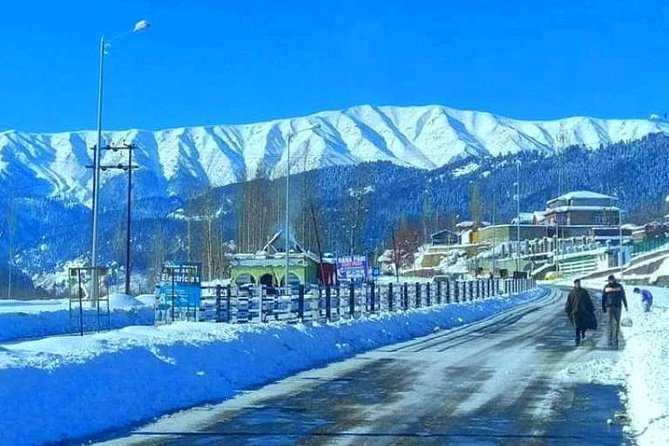 5-Days Kashmir tour includes Accommodation and Private Transportation - Key Highlights You Should Care About