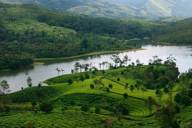 5 Days Luxury Kerala Tour with Houseboat Experience - The route that saves you energy, not just time