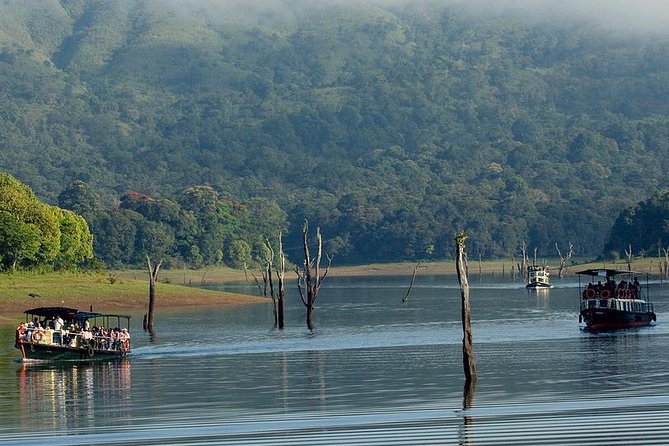 5 Days Private Kerala Tour with Houseboat by Sanguine Holidays - What You’re Really Buying in This Kochi to Backwaters Route