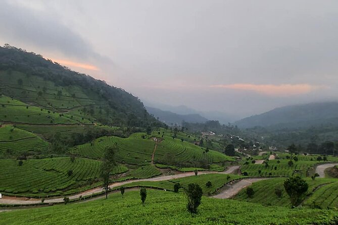 5 Days Private Kerala Tour with Houseboat by Sanguine Holidays - Day 1: Cheeyappara and Valara Waterfalls Before the Long Scenic Days