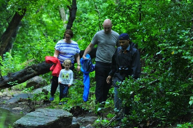 5-Days Private Kerala Tour with Sightseeing Tickets - Day 1 to Munnar: Valara and Cheeyappara waterfalls on the way