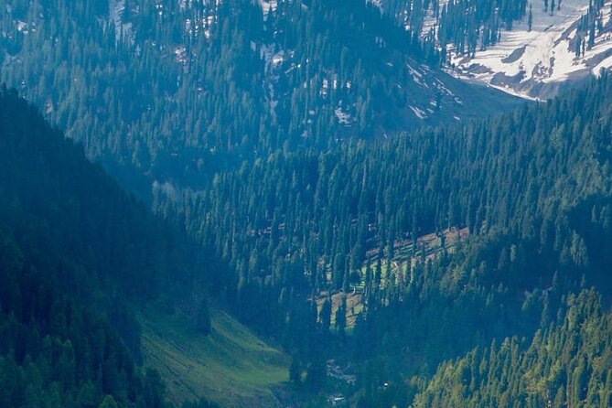 6 Days Private Tour in Kashmir Valley - Dal Lake and beyond: the Pampore, Awantipora, and Baisaran loop
