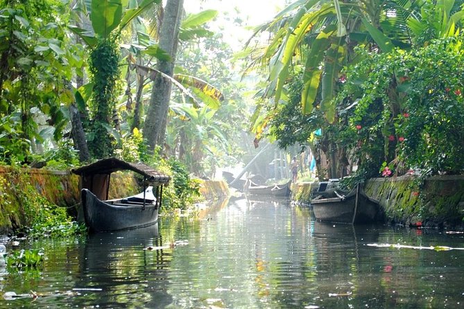 6 Days Private Tour Kerala Natural Retreat - Day 2 in Fort Kochi: Dutch Palace area, synagogue lane, Jew Street, Chinese nets