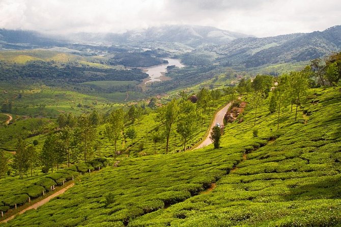 6 Days Private Tour Kerala Natural Retreat - Day 4 in Thekkady: Periyar Wildlife Sanctuary and a spice plantation day