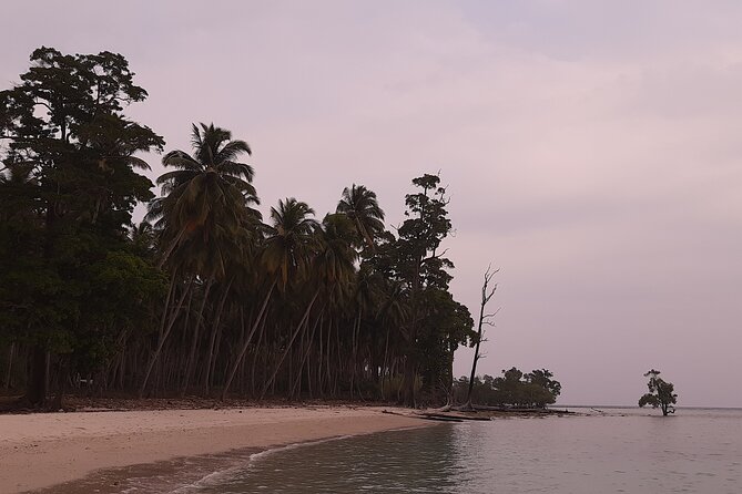 6D/5N Offbeat Walking Holiday in South and Middle Andamans - The Rangat to Yerratta road day through Jarawa territory