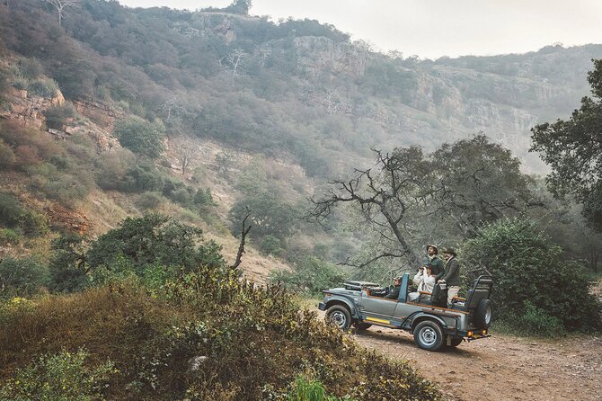 7-Day Golden Triangle Tour with Ranthambore Tiger Safari - Day 1 in Delhi: a welcome that sets your pace