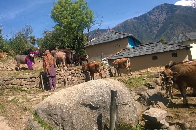 7 Days Dharamsala - Dalai Lama home Trek - Dharamsala sets the tone: spirituality before the trail