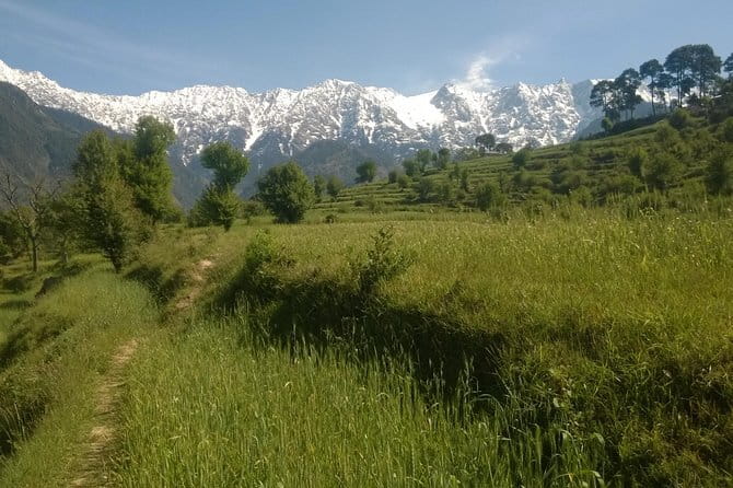 7 Days Dharamsala - Dalai Lama home Trek - Value and comfort: what your $381.30 actually covers