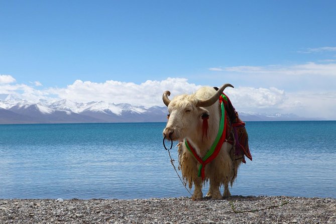 8-Days Heavenly Himalayas- LEH-LADAKH - Landing in Leh: your first acclimatization and the Old Town vibe
