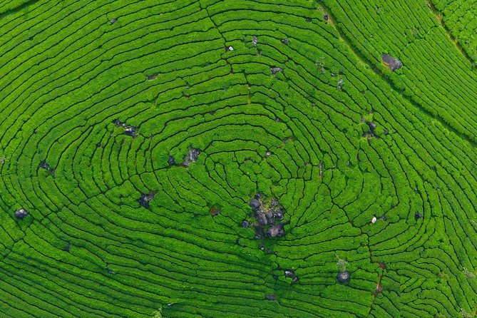 8 Days Kerala Private Tour (3 Star) with Munnar, Houseboat & Cab- Iris Holidays - Munnar sightseeing: viewpoints, viewpoints, and the Eravikulam area