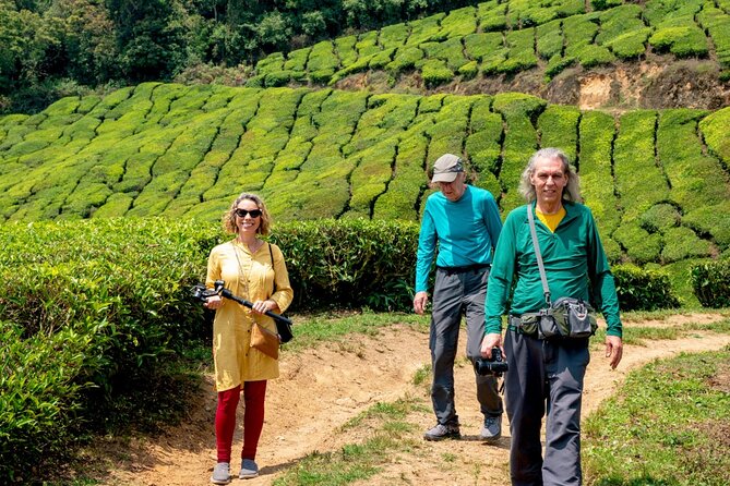 8 Days Kerala Private Tour Covering Kochi- Munnar- Periyar- Alleppey and Kovalam - Key Highlights That Make This Tour Feel Worth It