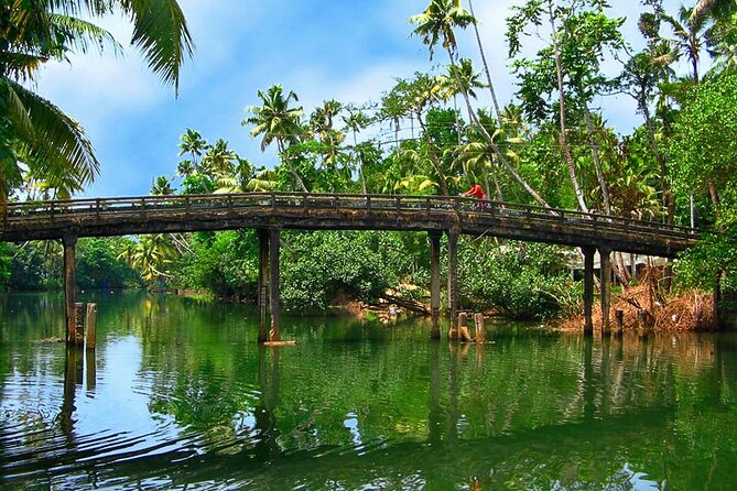 8 Days Kerala Private Tour Covering Kochi- Munnar- Periyar- Alleppey and Kovalam - Day 4: Periyar Tiger Reserve Wildlife Sanctuary and the Boat Ride Option