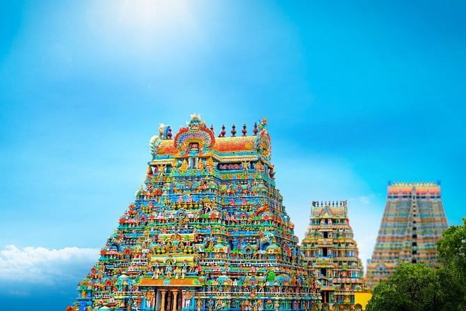 A Guided Cultural Immersion:Meenakshi Temple’s Night Ceremony - Price and value: is $29 a fair deal for a private night ceremony?